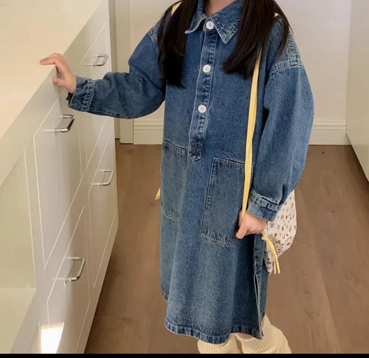 Long Denim Dress